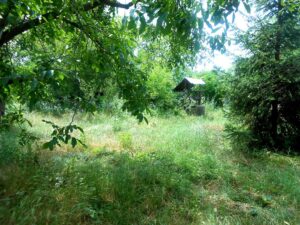 régi ásott kút az elhanyagolt udvaron